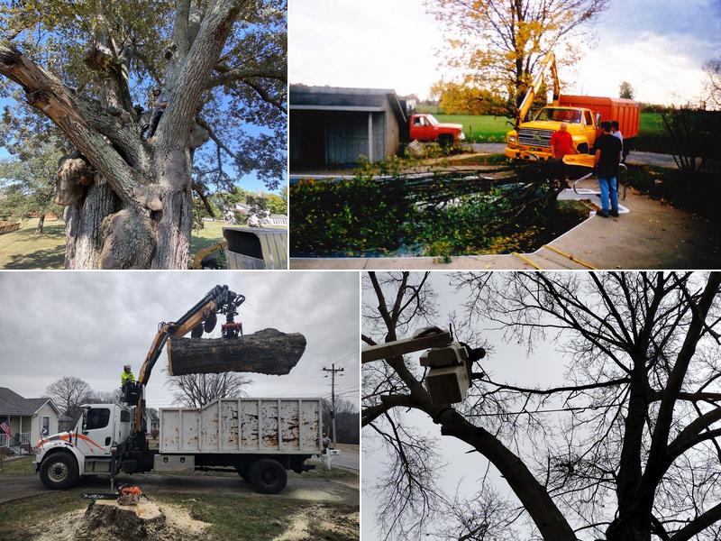 Cumberland Tree Service, LLC