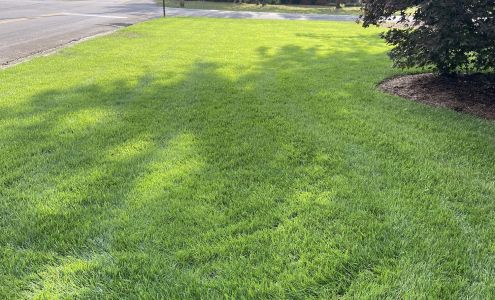 Advanced Lawn Solutions