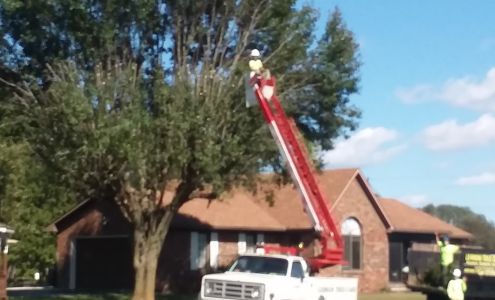 Lehman Tree Care