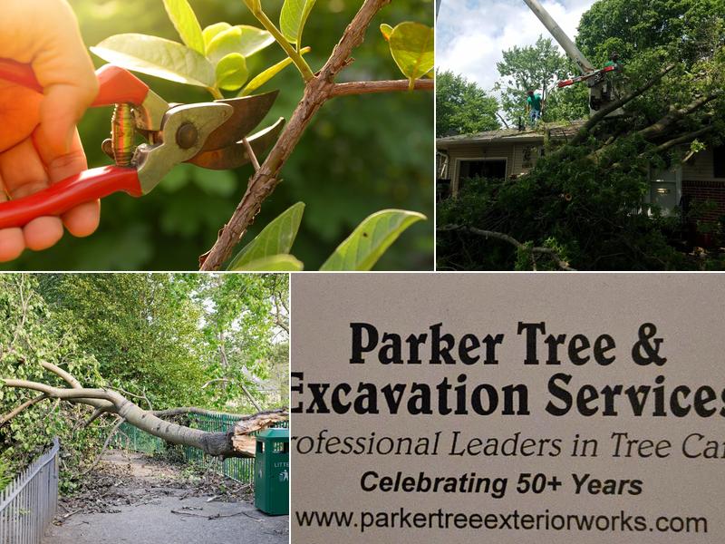 Parker Tree & Excavation Services, LLC