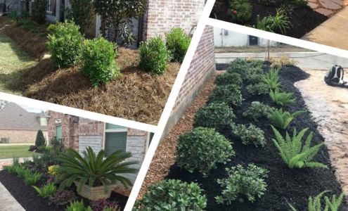 Tender Care Lawn Service