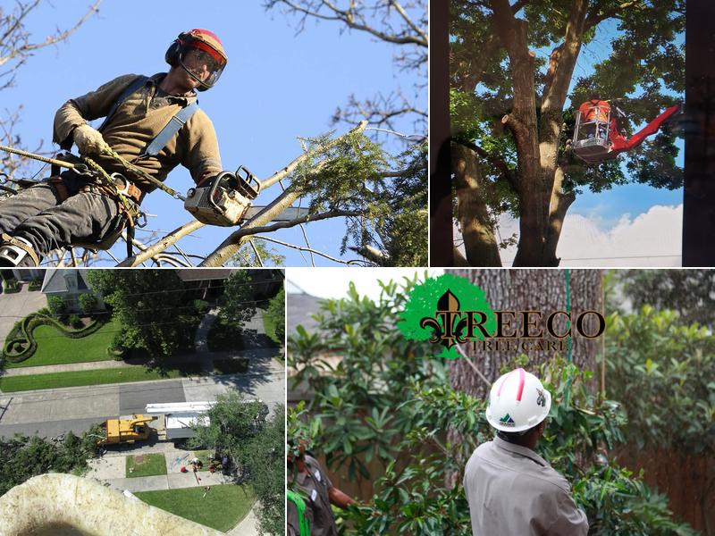 Treeco Tree Care
