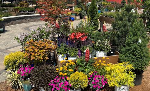 Country Landscapes & Nursery