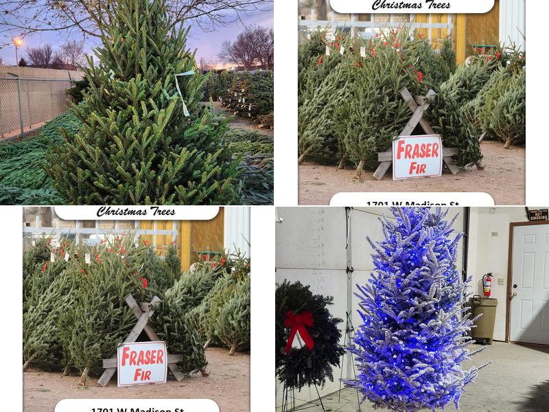 Baumgartner Trees & Landscaping