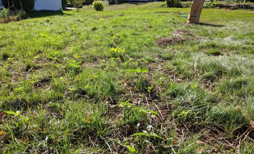 Yard Effects Landscaping, L.L.C.