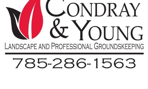 Condray & Young LLC