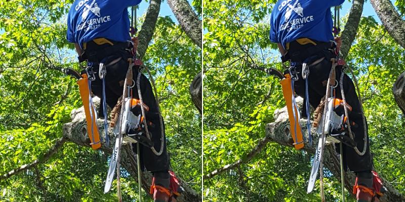 Coastal Tree Service