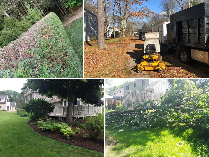 207 Landscaping Tree Service, LLC