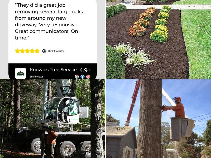 Knowles Tree Services Inc