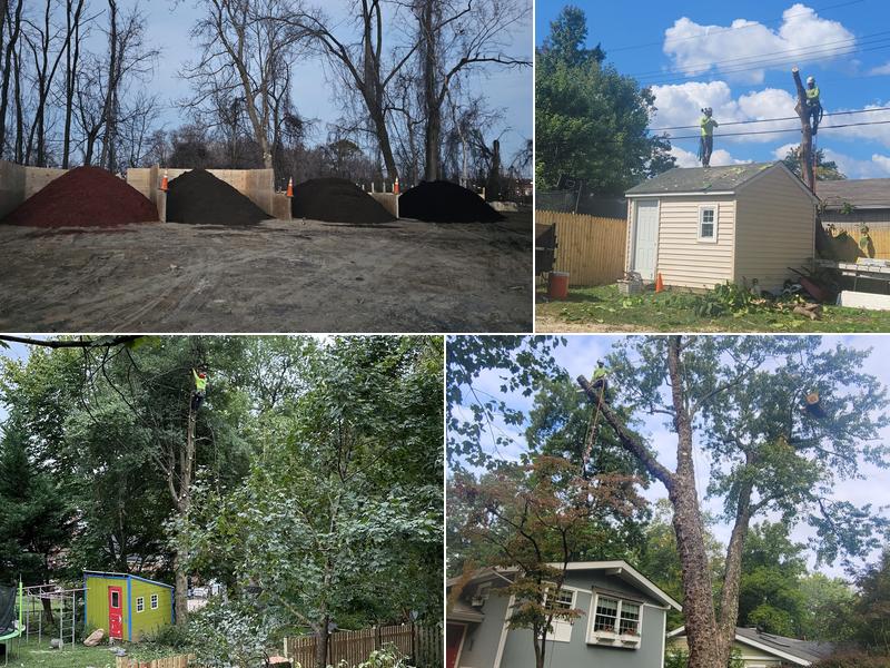 Marquez Tree Services, LLC