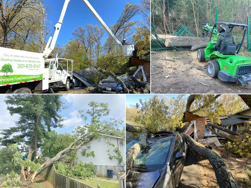 Milton's Tree Care Services LLC