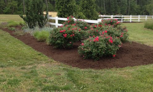 Shore Professional Services, LLC, DBA/ Advantage Lawn Care & Landscaping Parksley