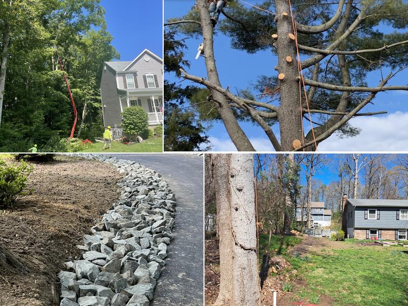 Honey Cove Landscaping and Tree Services