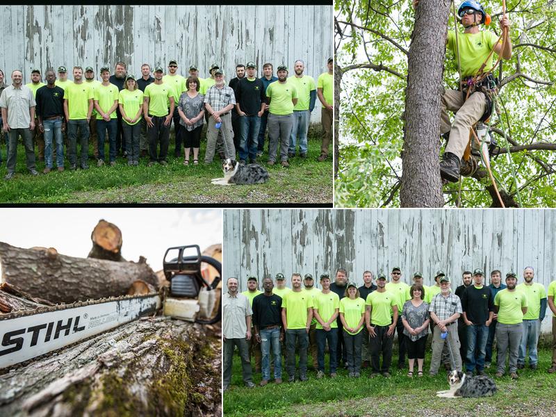 Dave Leonard Tree Specialists