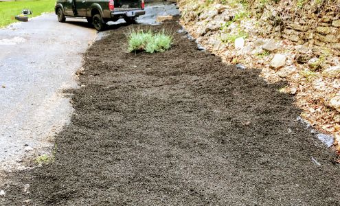 Fuentes lawn service