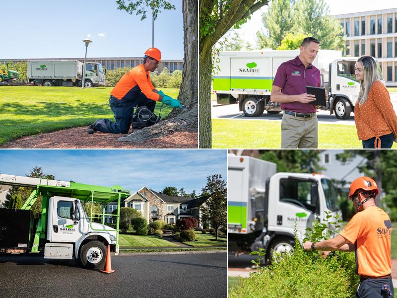SavATree - Tree Service & Lawn Care