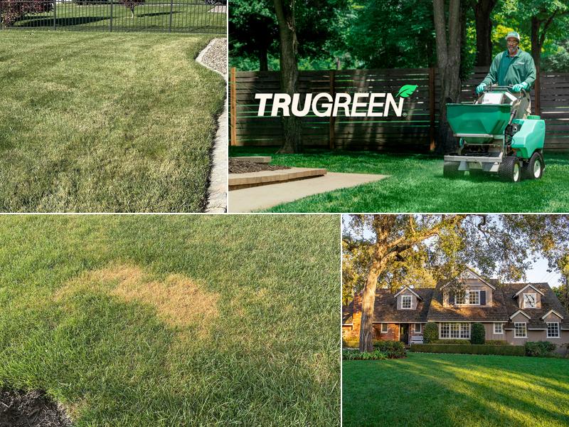TruGreen Lawn Care