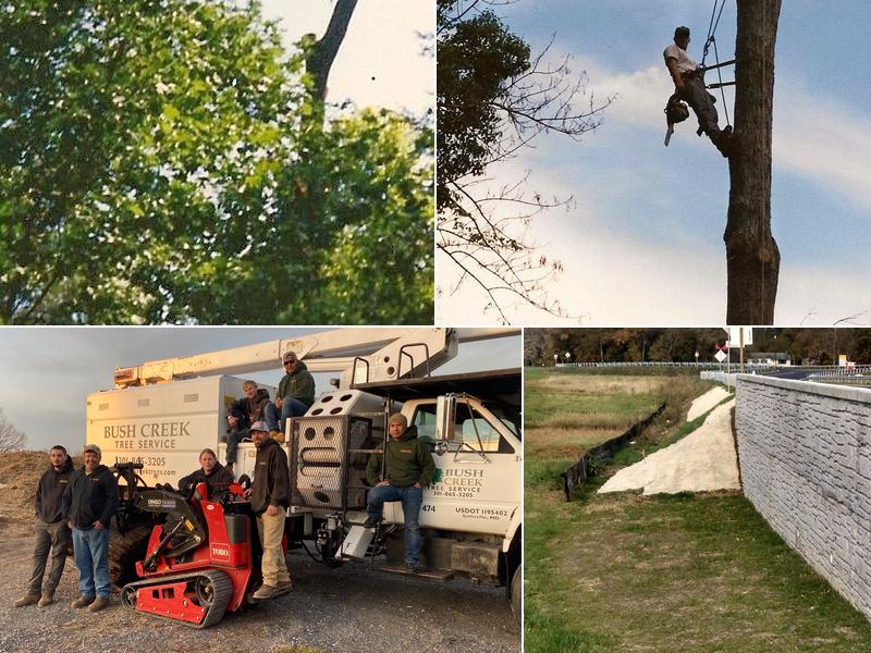 Bush Creek Tree Service, LLC