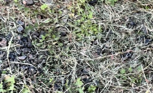 JS Landscaping and Power Wash