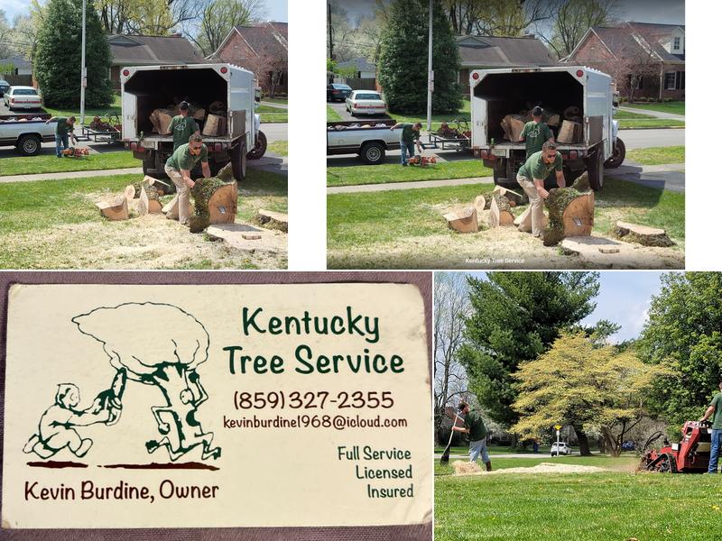 Kentucky Tree Service