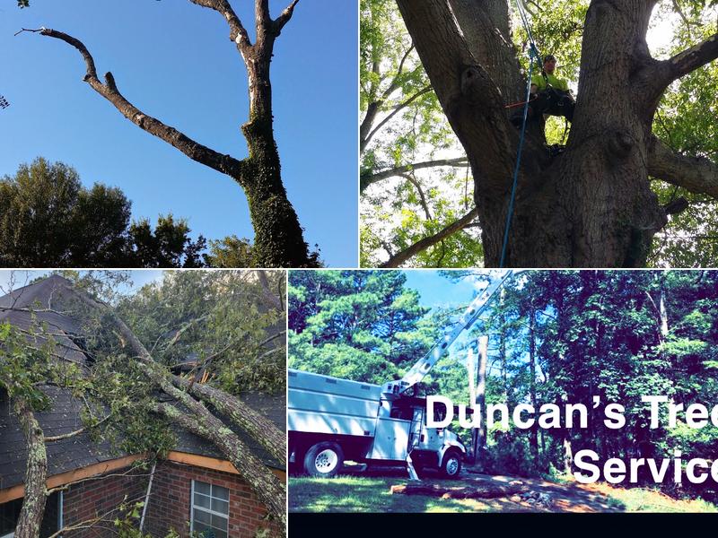 Duncan's Tree Service LLC