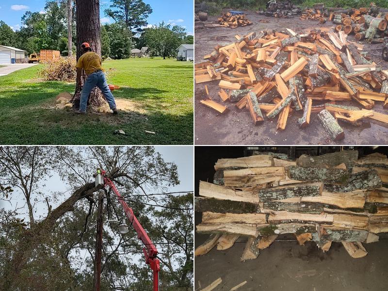 Ascension Tree And Stump LLC