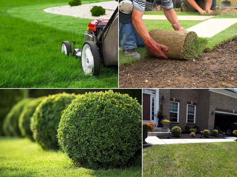 Martinez Landscaping Services --- Landscaping service in Clinton MD