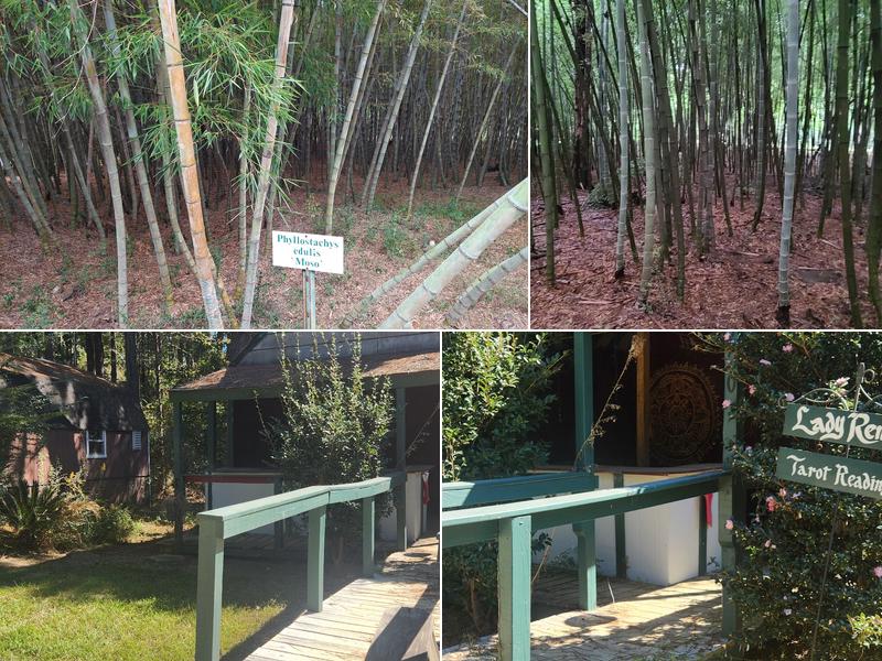 Bamboo Company Nursery