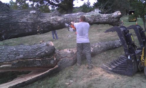 Rosci’s Tree Service Boot Rd, West Chester Pennsylvania 19380