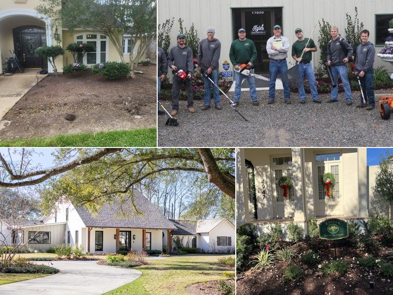 Kyle's Lawn and Landscape