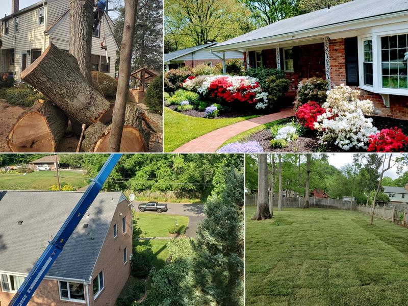 Eden Tree Service