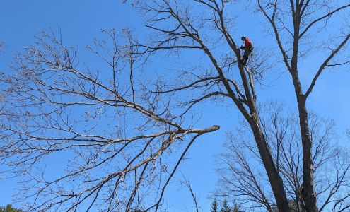 All Seasons Tree Service
