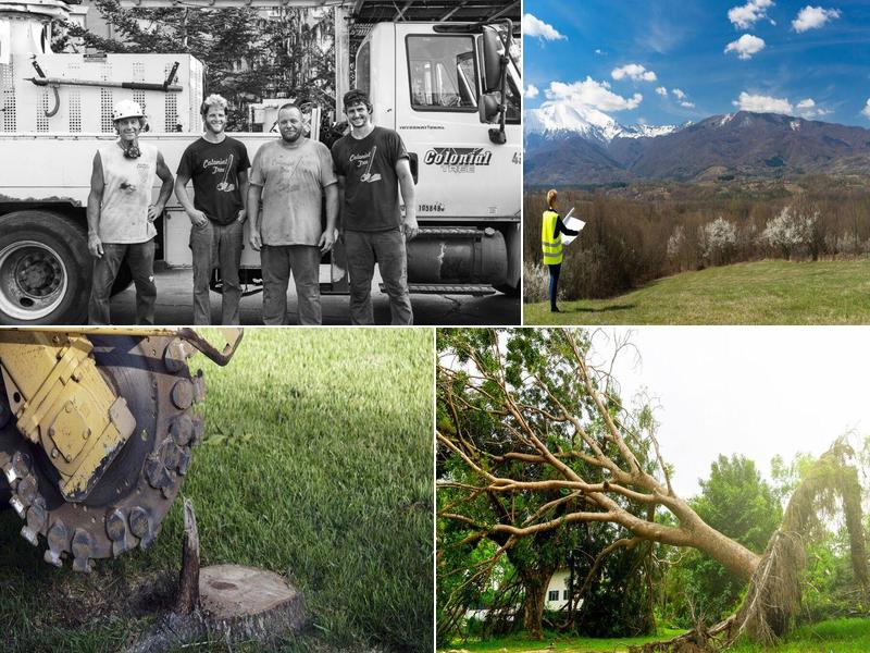 Colonial Tree & Landscaping