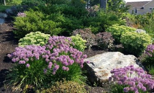 Always Green Tree Lawn and Landscape