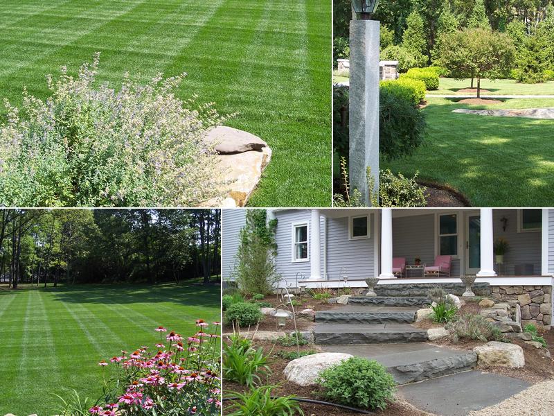 Green Penguin Landscaping LLC