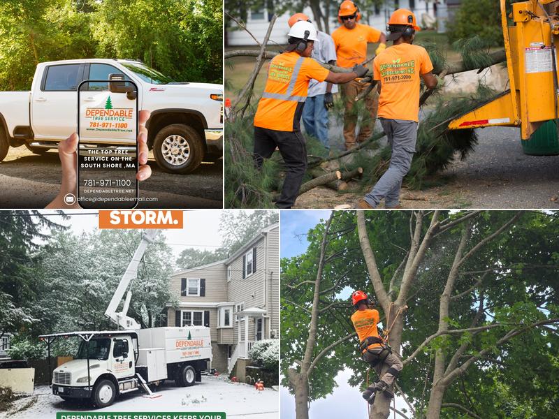 Dependable Tree Service