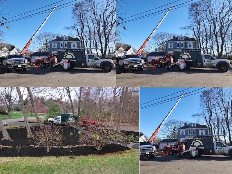 J&A Brothers Tree Service & Landscaping