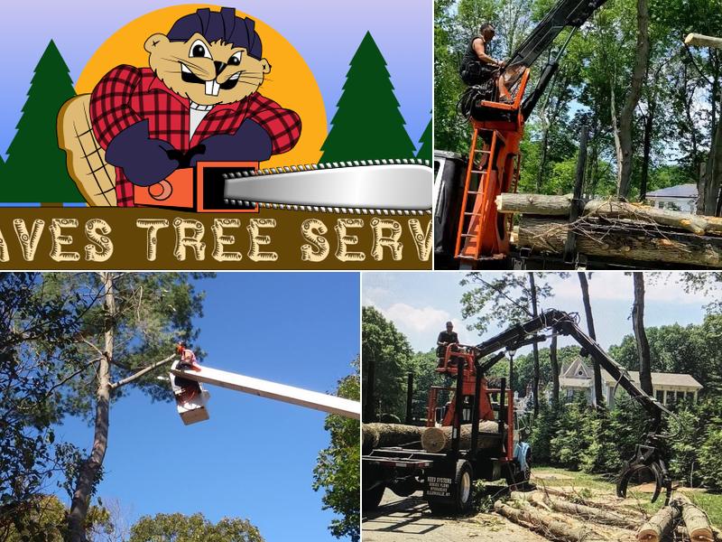 Daves Tree Service