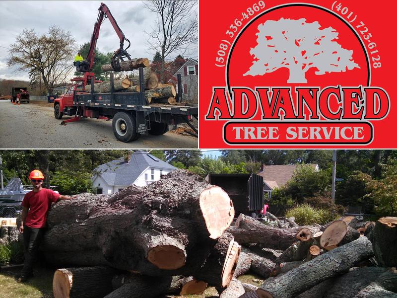 Advanced Tree