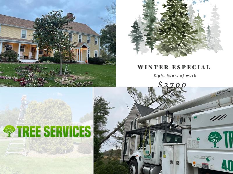 Frank Tree Services and Landscaping INC