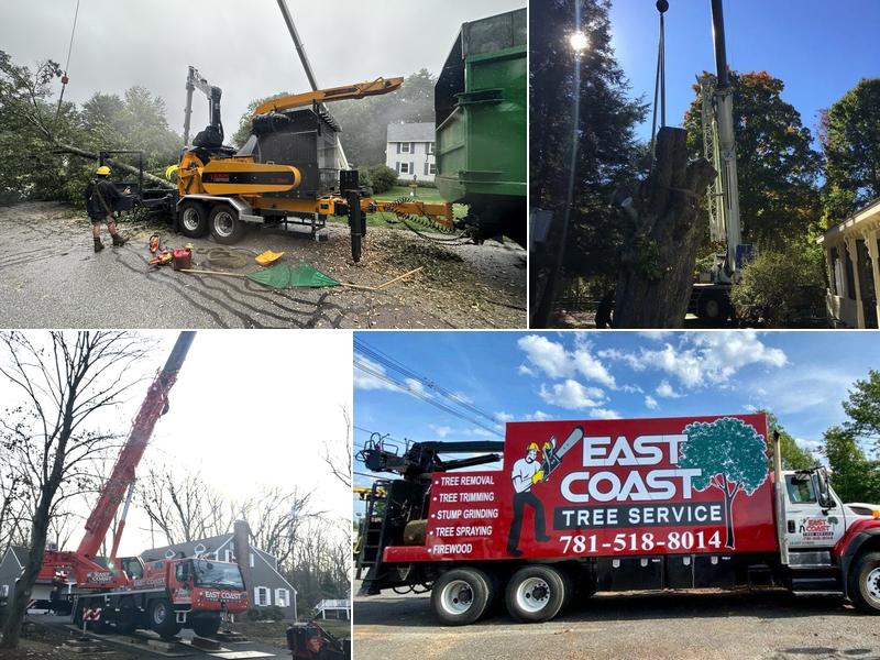 East Coast Tree Service LLC