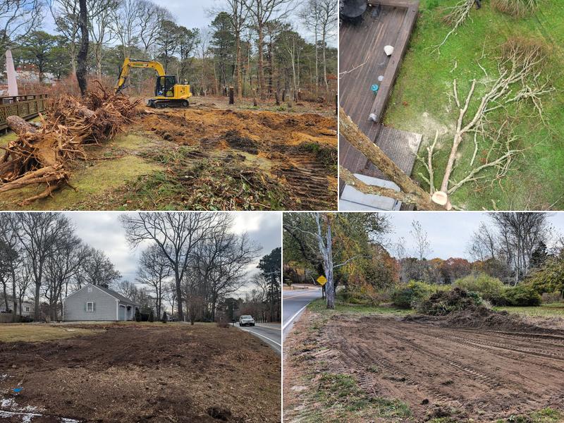 Mackenzie Tree Service