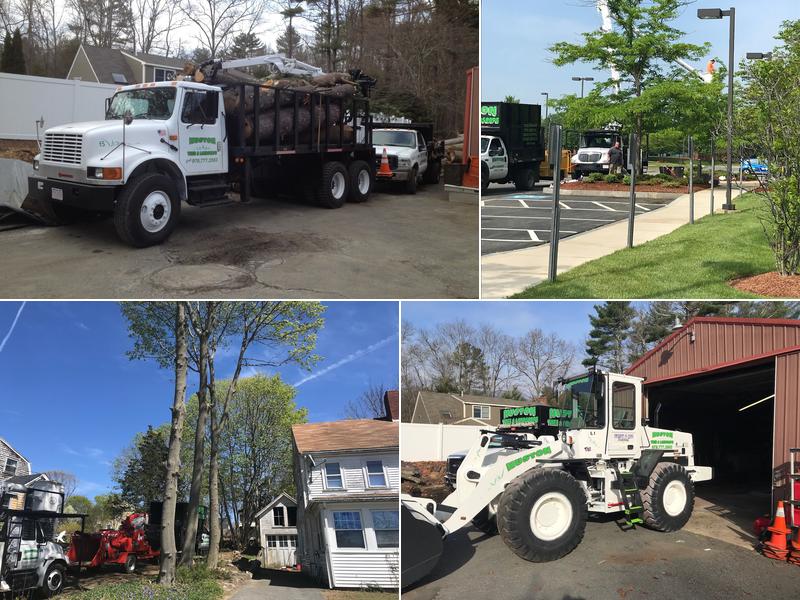 Huston Tree & Landscape Services