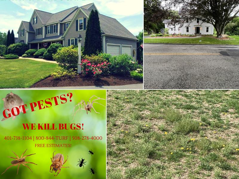 Turf Technologies Inc