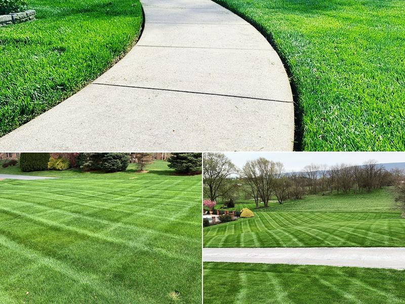 Lanco Turf Services Inc