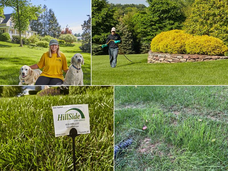 HillSide Lawn Service