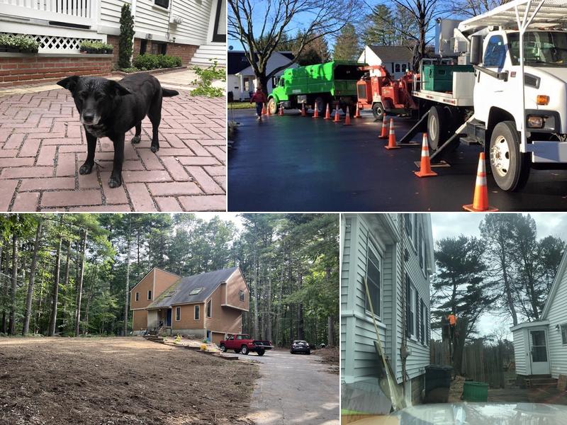 Charles River Tree Company