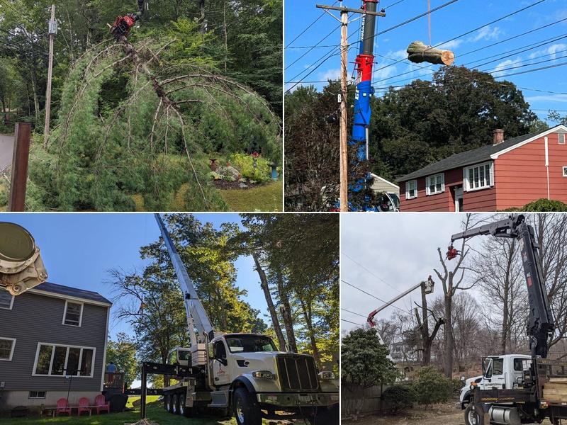 CES Property Service