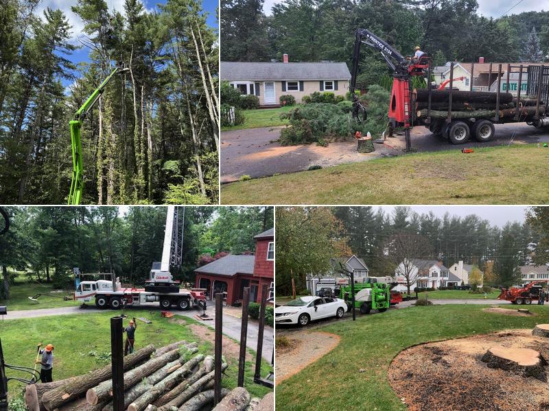 Gate City Tree Service, LLC