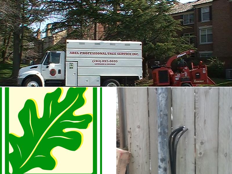 Abel Professional Tree Service